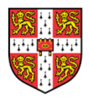 Cambridge Curriculum